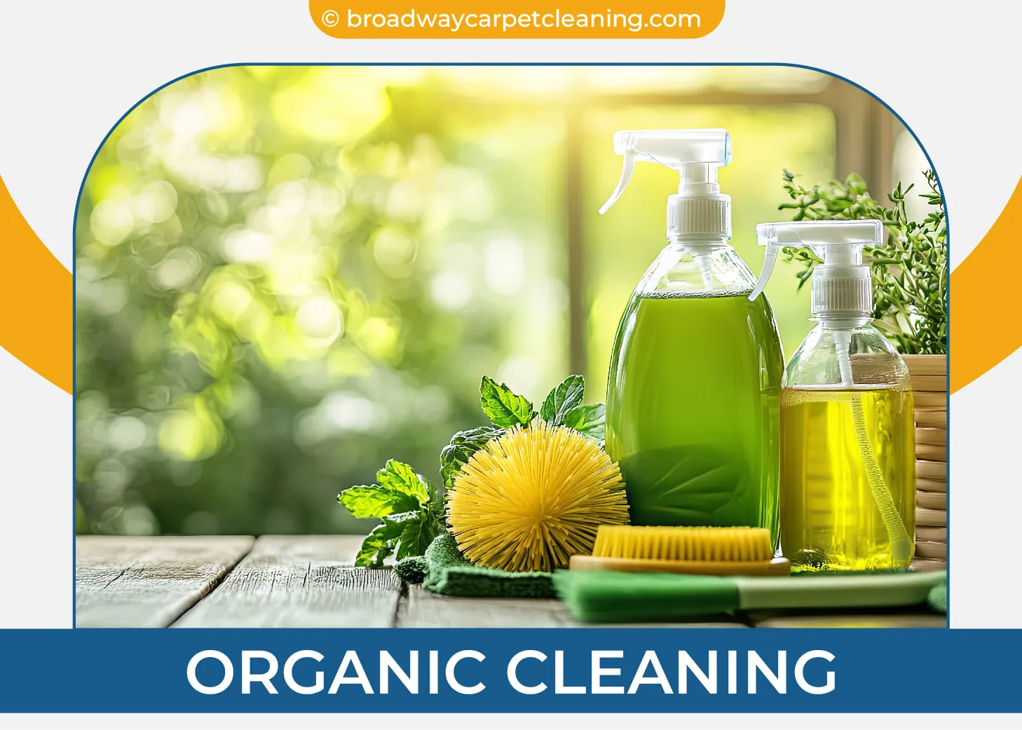carpet cleaning in new york, carpet cleaning new york, carpet cleaners in new york, carpet cleaners in new york, commercial carpet cleaning, commercial carpet cleaning in new york, new york rug cleaners, rug cleaning services in new york, same day carpet cleaning, same day rug cleaning in new york